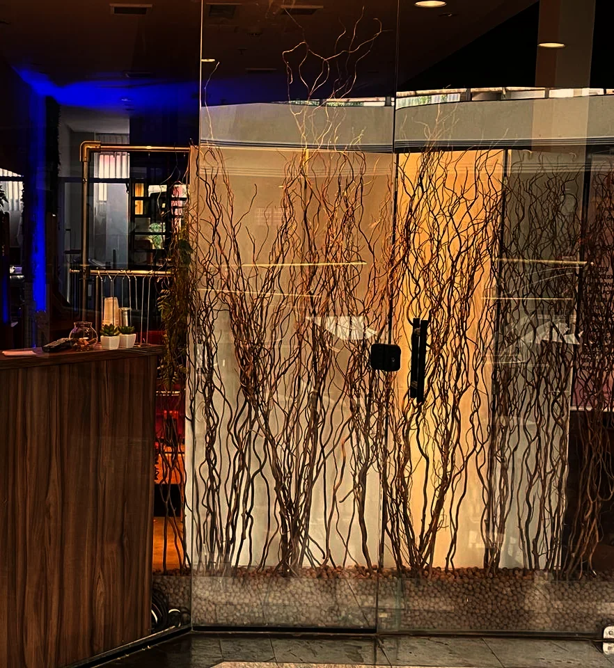 Entrada da Clínica Rennova no Fashion Mall: vitrine de vidro com galhos secos iluminados por trás, balcão de madeira e a luz azul do teto ao fundo
